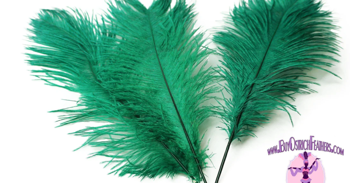 Ostrich Feather Tail Plumes 11-14 (Emerald Green)