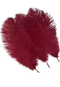 Load image into Gallery viewer, Burgundy Ostrich Feathers