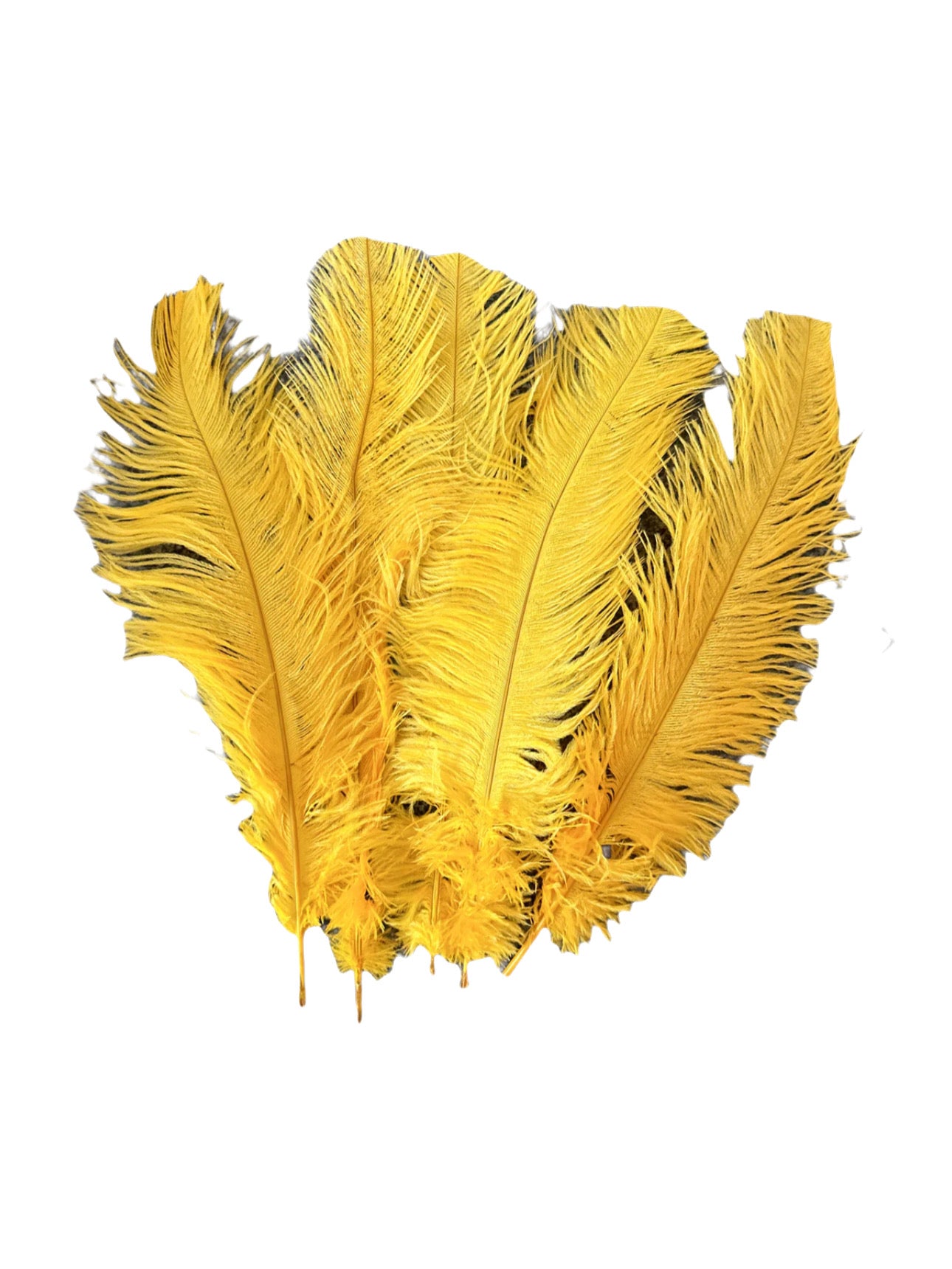 BULK 1/2lb Ostrich Feather Tail Plumes 15-20" (Golden Yellow) - Buy Ostrich Feathers