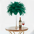Load image into Gallery viewer, Ostrich Feather Tail Plumes 11-14" (Emerald Green) - www.BuyOstrichFeathers.com