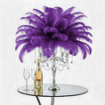 Load image into Gallery viewer, Ostrich Feather Spad Plumes 15-18" (Purple) - www.BuyOstrichFeathers.com