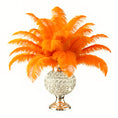 Load image into Gallery viewer, Ostrich Feather Rental 16-20" (Orange) - 250pcs - www.BuyOstrichFeathers.com