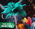 Load image into Gallery viewer, Budget-Friendly 8-Pack Centerpiece Combo - www.BuyOstrichFeathers.com