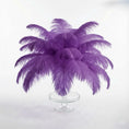Load image into Gallery viewer, Ostrich Feather Tail Plumes 9-12" (Purple)