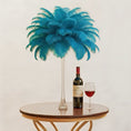 Load image into Gallery viewer, Ostrich Feather Tail Plumes 11-14" (Turquoise) - www.BuyOstrichFeathers.com