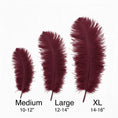Load image into Gallery viewer, BULK 1/2lb Ostrich Feather Tail Plumes 15-20" (Burgundy) - www.BuyOstrichFeathers.com