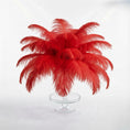 Load image into Gallery viewer, Ostrich Feather Tail Plumes 9-12" (Red)