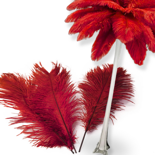 Complete Feather Centerpiece With 24" Vase (Burgundy) - www.BuyOstrichFeathers.com