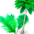 Load image into Gallery viewer, Complete Feather Centerpiece With 20" Vase (Lime Green) - www.BuyOstrichFeathers.com