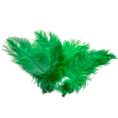 Load image into Gallery viewer, Ostrich Feather Tail Plumes 17-20" (Emerald Green) - www.BuyOstrichFeathers.com