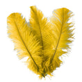 Load image into Gallery viewer, BULK 1/4lb Ostrich Feather Spad Plumes 12-16" (Golden Yellow) - www.BuyOstrichFeathers.com