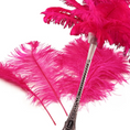 Load image into Gallery viewer, Complete Feather Centerpiece With 24" Vase (Fuchsia) - www.BuyOstrichFeathers.com