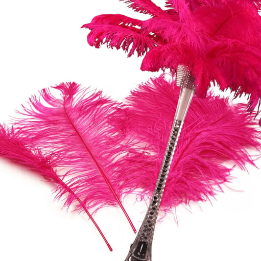 Complete Feather Centerpiece With 20" Vase (Fuschia) - www.BuyOstrichFeathers.com