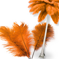 Load image into Gallery viewer, Complete Feather Centerpiece With 20" Vase (Orange) - www.BuyOstrichFeathers.com
