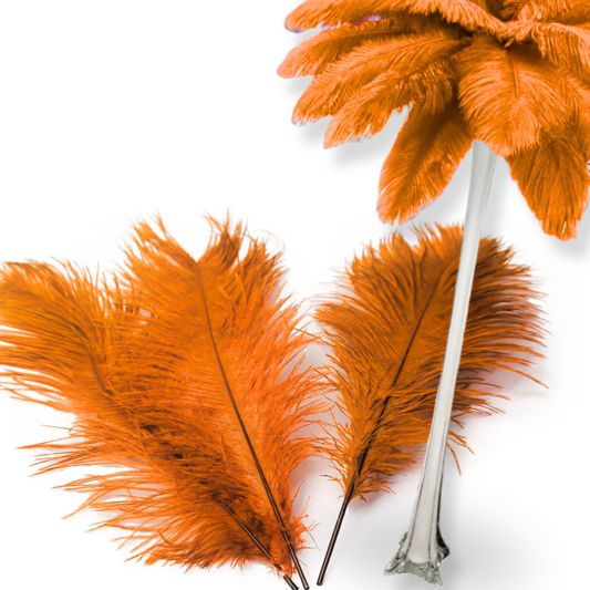 Complete Feather Centerpiece With 20" Vase (Orange) - www.BuyOstrichFeathers.com