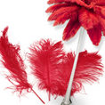 Load image into Gallery viewer, Complete Feather Centerpiece With 16" Vase (Red) - www.BuyOstrichFeathers.com
