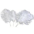 Load image into Gallery viewer, Ostrich Feather Tail Plumes 9-12" (White) - www.BuyOstrichFeathers.com
