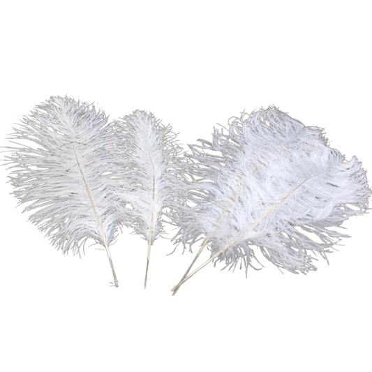 Ostrich Feather Tail Plumes 9-12" (White) - www.BuyOstrichFeathers.com