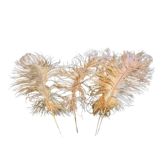 Ostrich Feather Tail Plumes 13-16" (Gold) - www.BuyOstrichFeathers.com