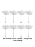 Load image into Gallery viewer, Budget-Friendly 8-Pack Centerpiece Combo - www.BuyOstrichFeathers.com