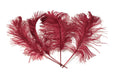 Load image into Gallery viewer, Ostrich Feather Tail Plumes 15-18" (Burgundy) - www.BuyOstrichFeathers.com