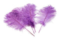 Load image into Gallery viewer, Ostrich Feather Tail Plumes 17-20" (Lavender) - www.BuyOstrichFeathers.com