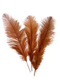 Load image into Gallery viewer, BULK 1/4lb Ostrich Feather Spad Plumes 12-16" (Copper) - www.BuyOstrichFeathers.com