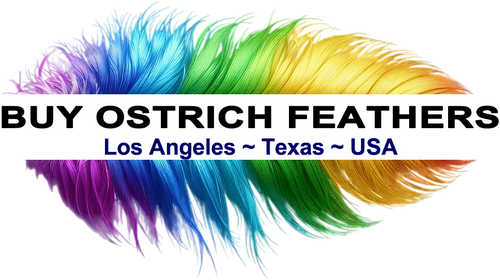 www.BuyOstrichFeathers.com
