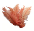 Load image into Gallery viewer, Ostrich Feather Spad Plumes 15-18" (Apricot) - Buy Ostrich Feathers