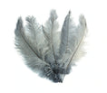 Load image into Gallery viewer, Ostrich Feather Spad Plumes 15-18" (Silver) - Buy Ostrich Feathers