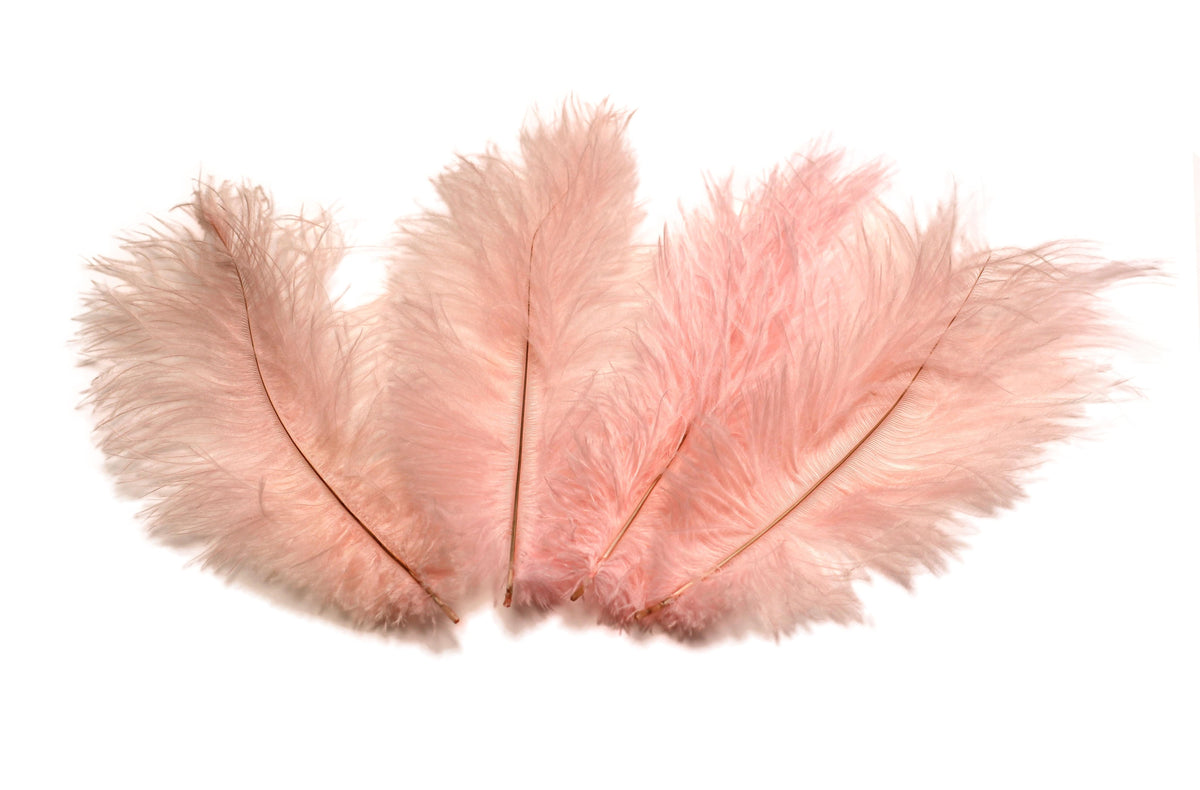 USA Shop BABY PINK Ostrich Feathers 13 to 18 Inches Long. 