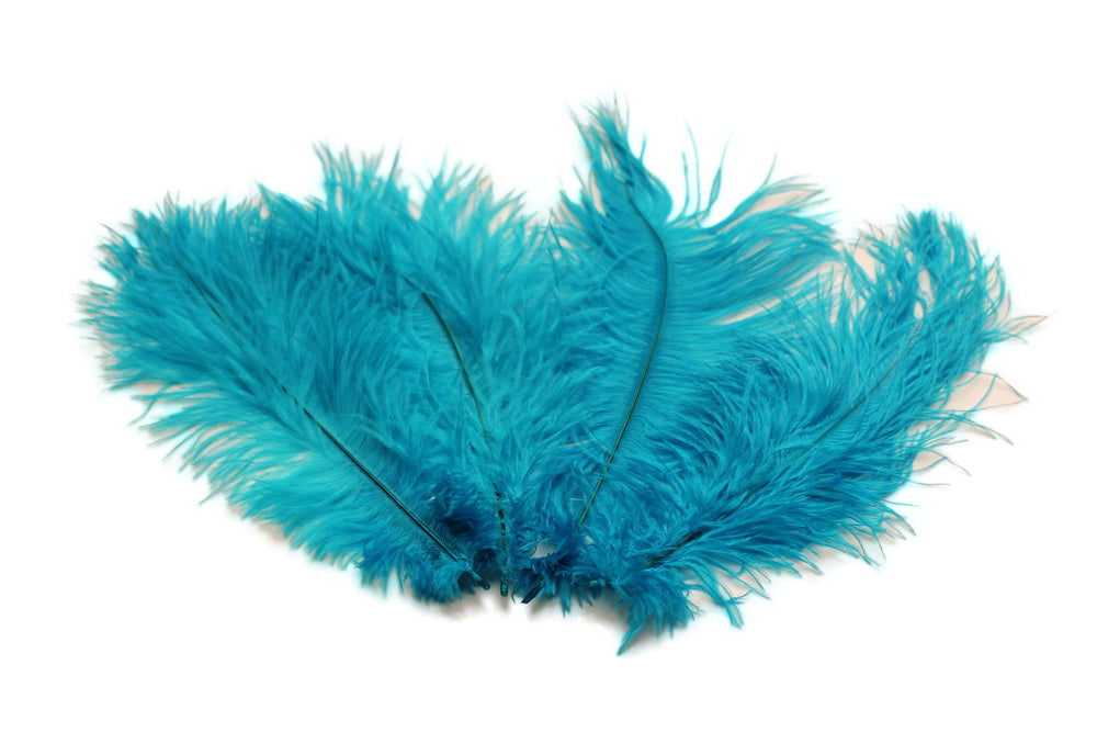 Ostrich Flexible Feathers 9-12