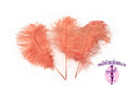 Load image into Gallery viewer, Complete Feather Centerpiece With 24" Vase (Apricot Champagne) - Buy Ostrich Feathers