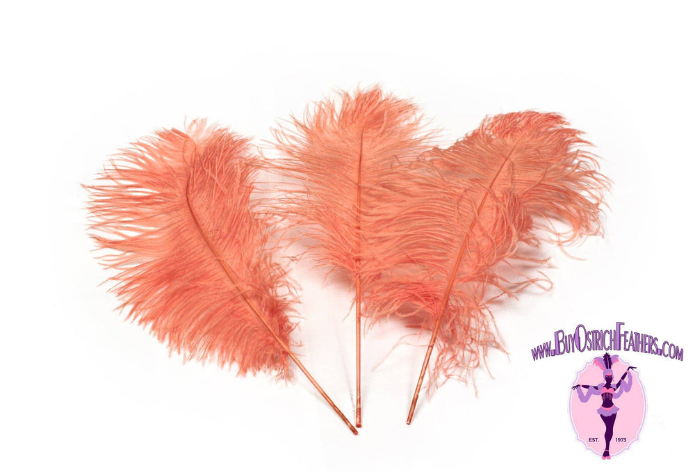 
                  
                    Complete Feather Centerpiece With 24" Vase (Apricot Champagne) - Buy Ostrich Feathers
                  
                