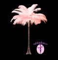 Load image into Gallery viewer, Complete Feather Centerpiece With 24" Vase (Baby Pink) - Buy Ostrich Feathers