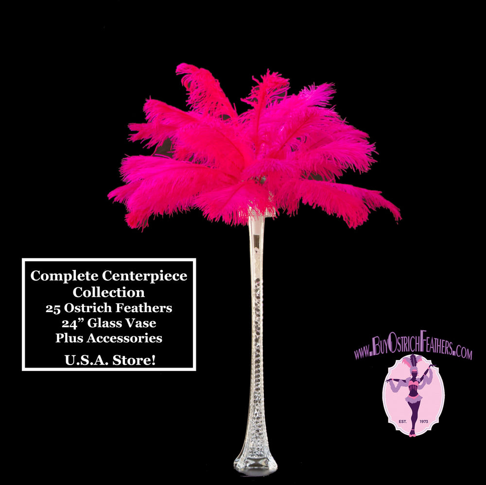 Complete Feather Centerpiece With 24" Vase (Fuchsia) - Buy Ostrich Feathers