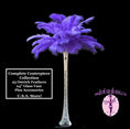 Load image into Gallery viewer, Complete Feather Centerpiece With 24" Vase (Purple) - Buy Ostrich Feathers