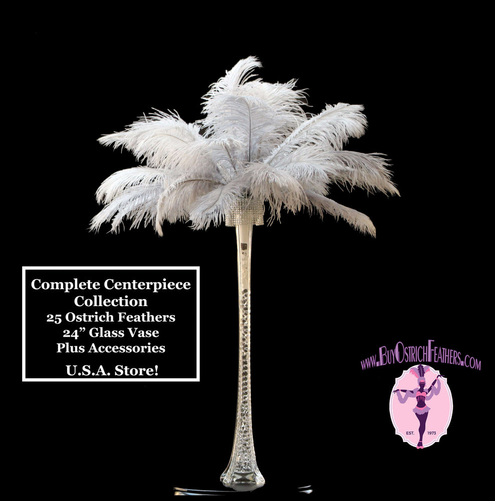 Complete Feather Centerpiece With 24" Vase (Silver & Grey) - Buy Ostrich Feathers