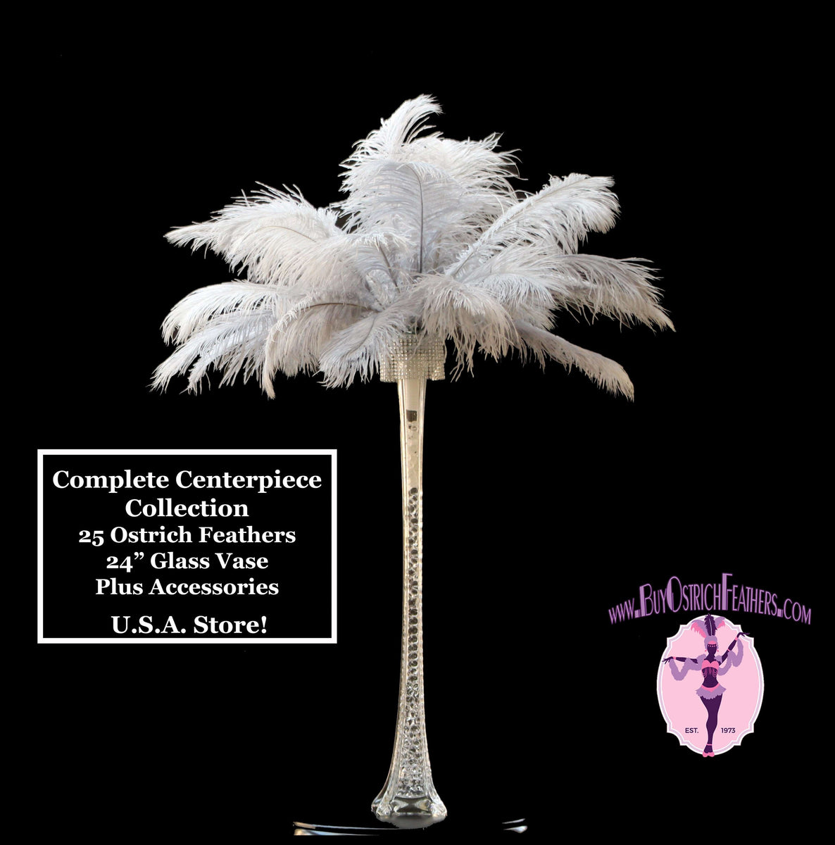 Decorative Feathers Vase, Ostrich Feathers