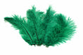 Load image into Gallery viewer, Ostrich Flexible Feathers 9-12" (Emerald Green) - Buy Ostrich Feathers
