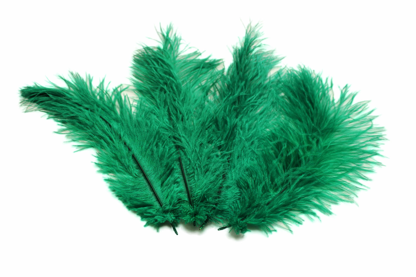 Ostrich Flexible Feathers 9-12" (Emerald Green) - Buy Ostrich Feathers