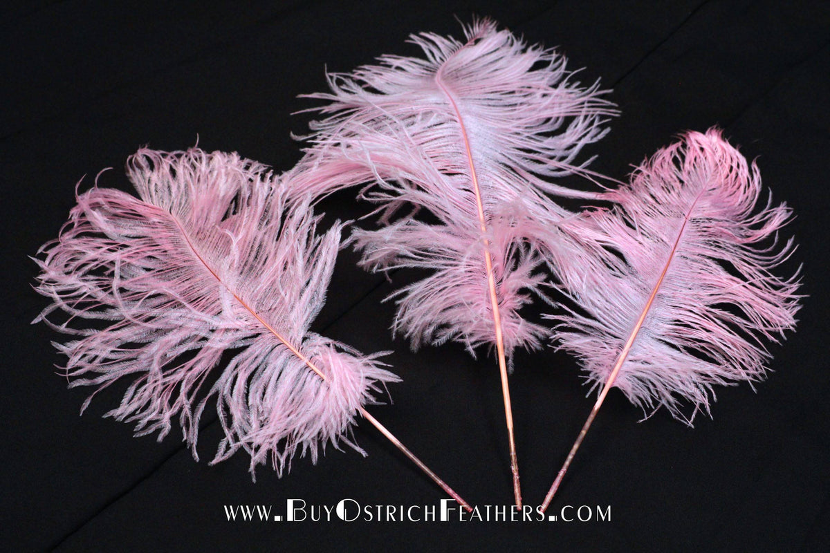 BULK 1/2lb Ostrich Feather Tail Plumes 1520" (Baby Pink) for Sale Online