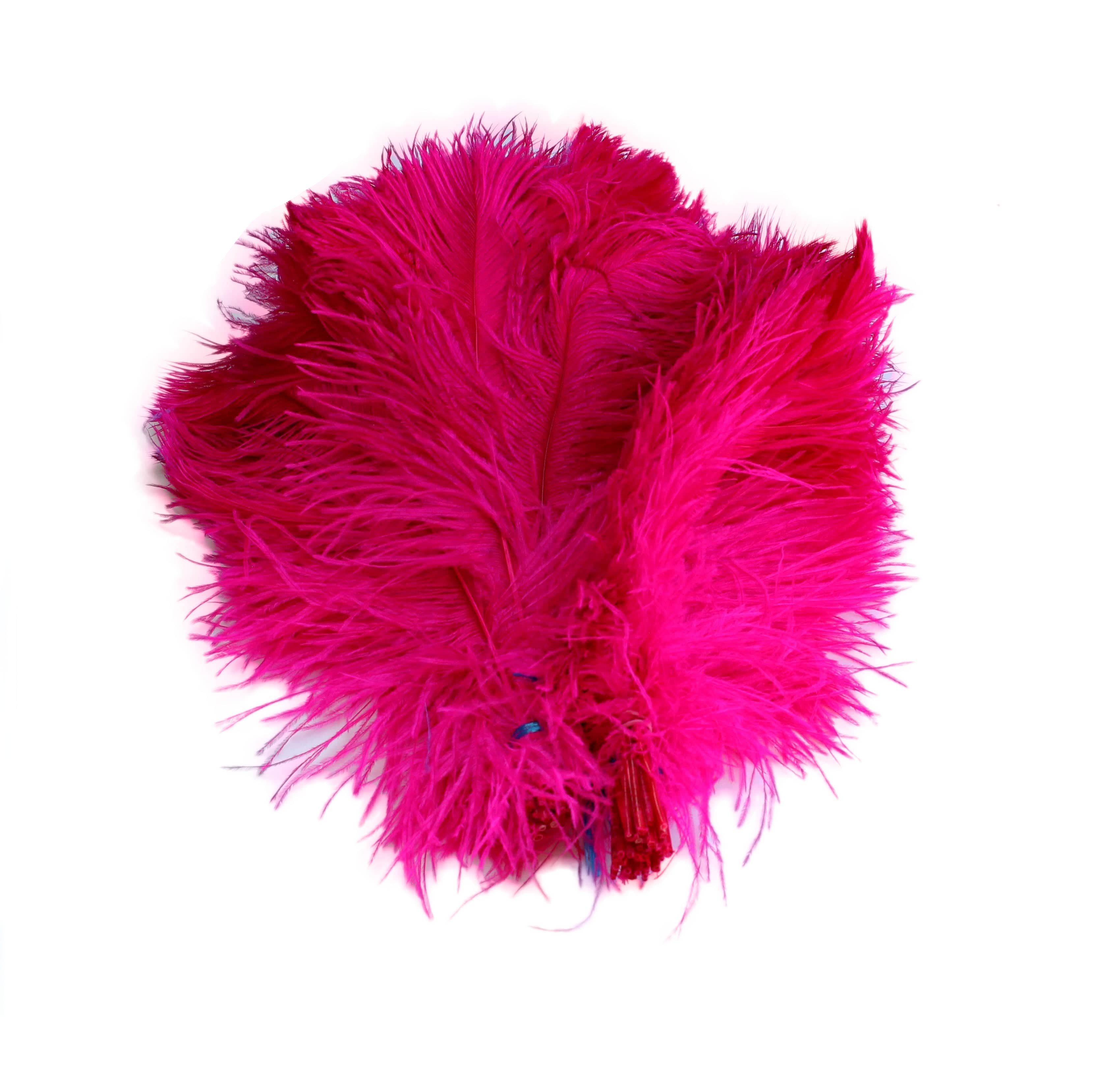 Fuchsia ostrich feathers sales