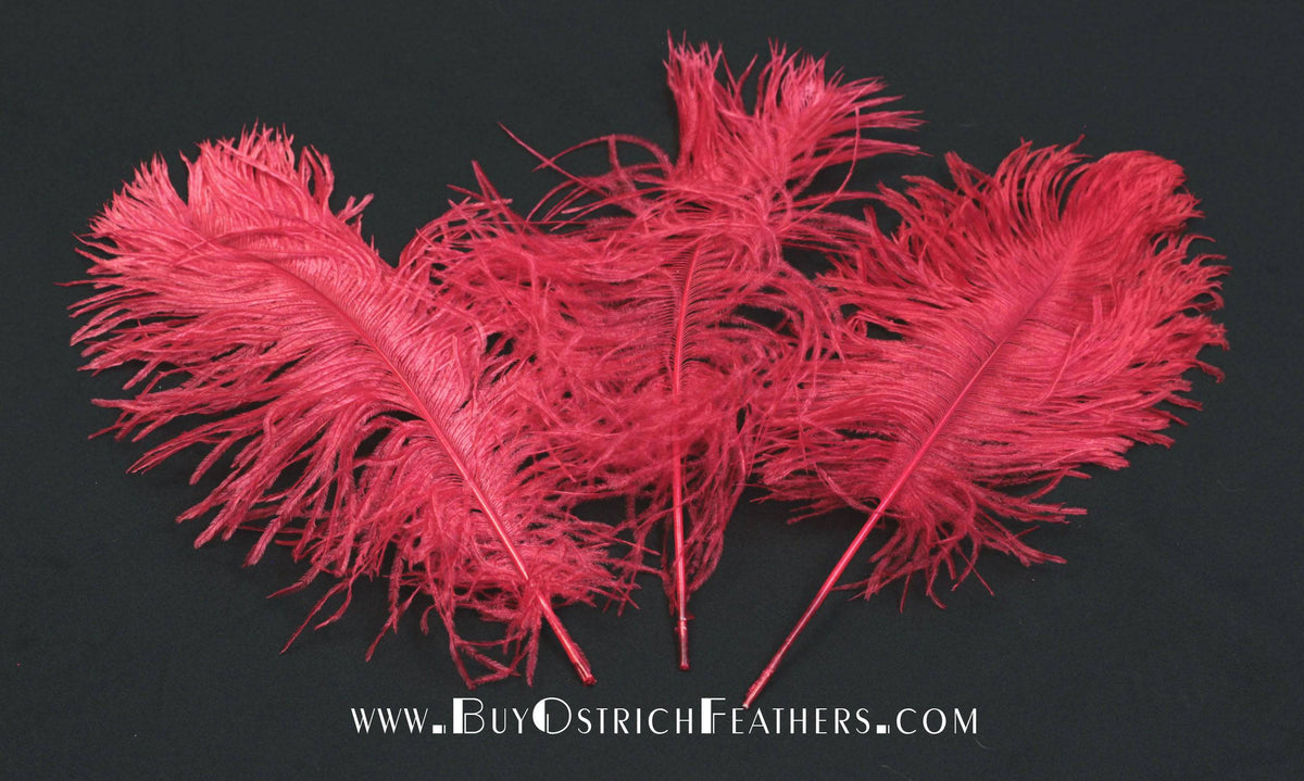 Red Ostrich Feather Male Wing Plumes Large Feathers 24-26 inches 5 Pieces