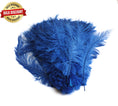 Load image into Gallery viewer, BULK 1/4lb Ostrich Feather Spad Plumes 12-16" (Royal Blue) - Buy Ostrich Feathers
