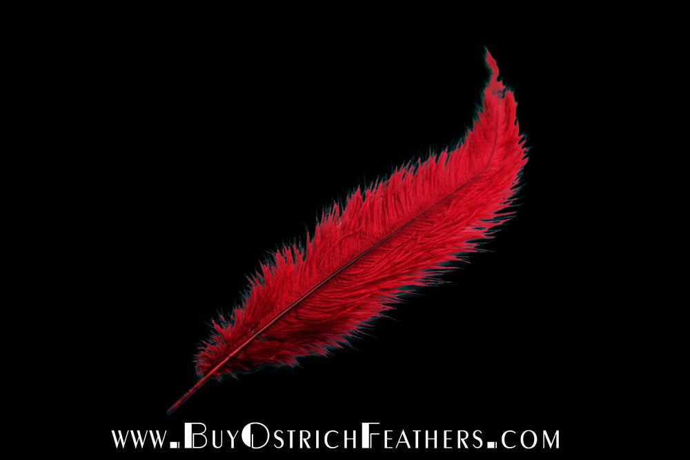 
                  
                    Ostrich Feather Spad Plumes 13-16" (Red) - Buy Ostrich Feathers
                  
                
