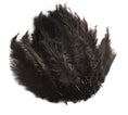 Load image into Gallery viewer, Ostrich Feather Spad Plumes 16-20" (Black) - Buy Ostrich Feathers