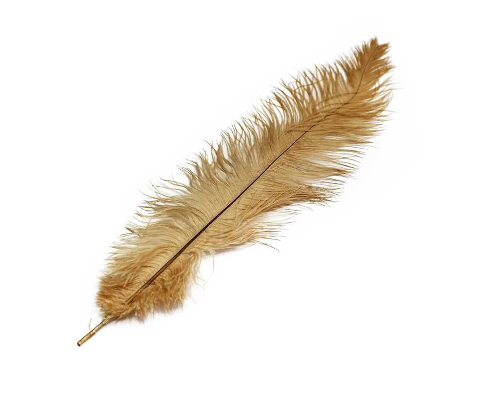 
                  
                    Ostrich Feather Spad Plumes 16-20" (Gold) - Buy Ostrich Feathers
                  
                