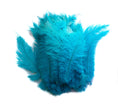 Load image into Gallery viewer, Ostrich Feather Spad Plumes 16-20" (Turquoise) - Buy Ostrich Feathers