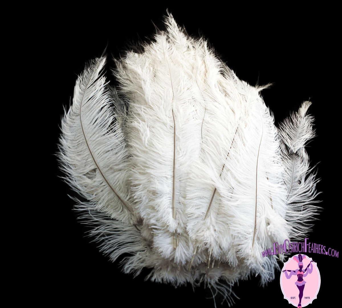 100 pcs White Ostrich feather plume 18-24 inch 
